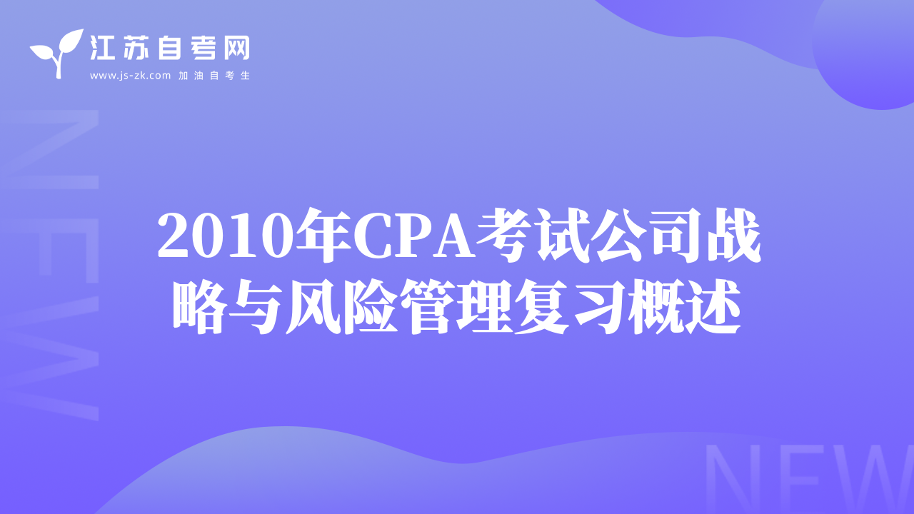 2010年CPA考试公司战略与风险管理复习概述