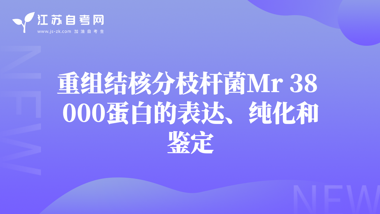 重组结核分枝杆菌Mr 38 000蛋白的表达、纯化和鉴定