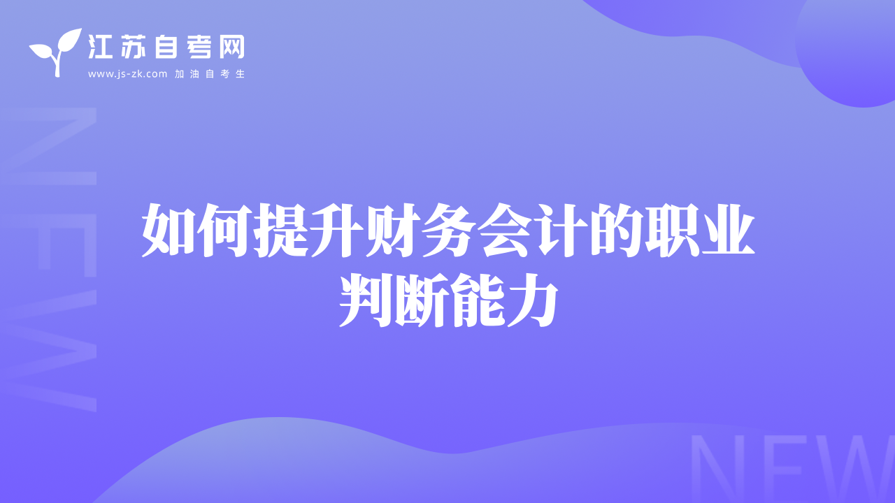 如何提升财务会计的职业判断能力