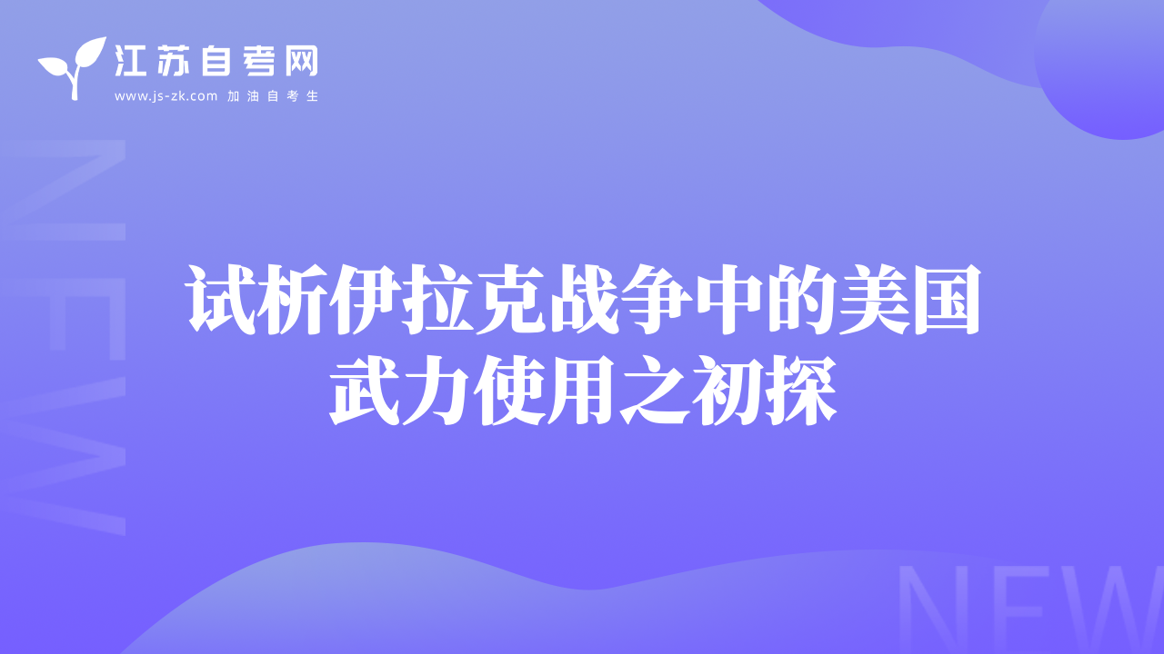 试析伊拉克战争中的美国武力使用之初探