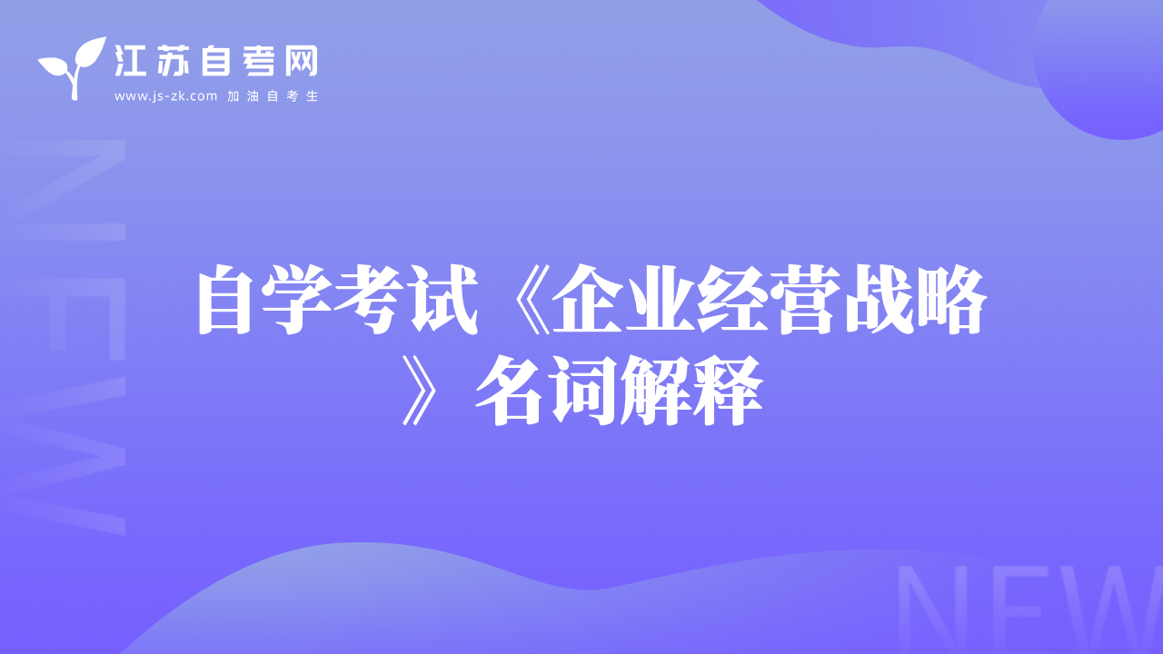 自学考试《企业经营战略》名词解释