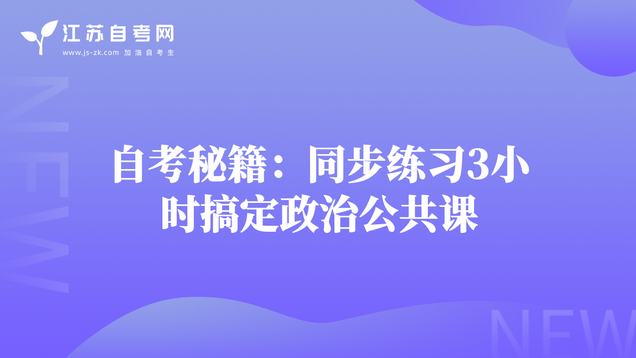 自考秘籍：同步练习3小时搞定政治公共课