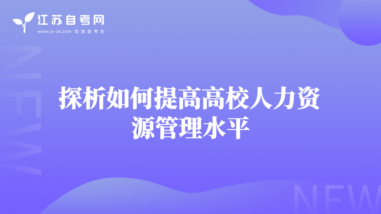 探析如何提高高校人力资源管理水平